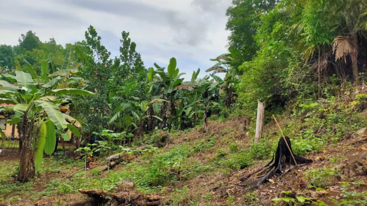 Build-Ready Residential Lot in Tam-is