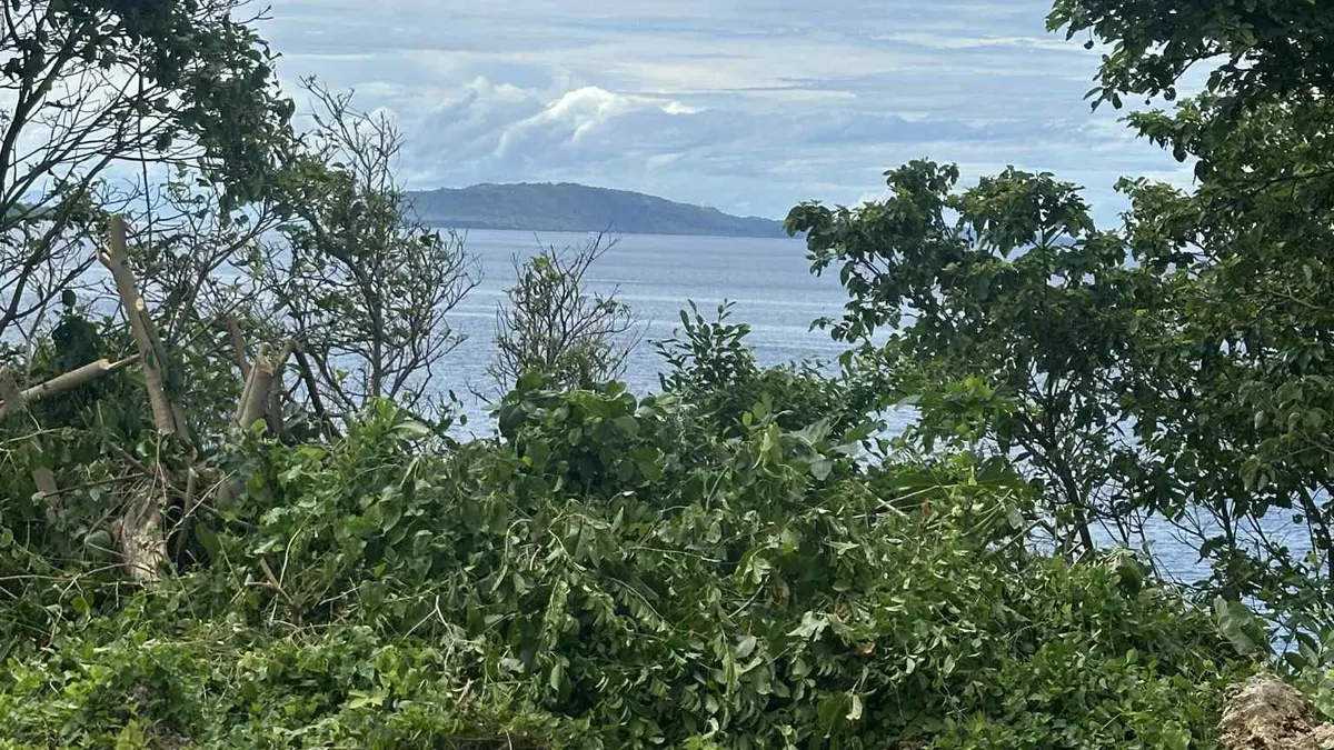 Beachfront Property with Highway Access in Macrohon