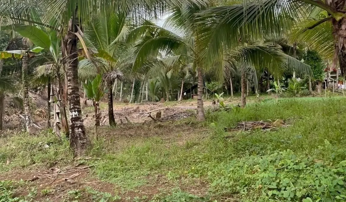 Countryside Farm Property in Batuan
