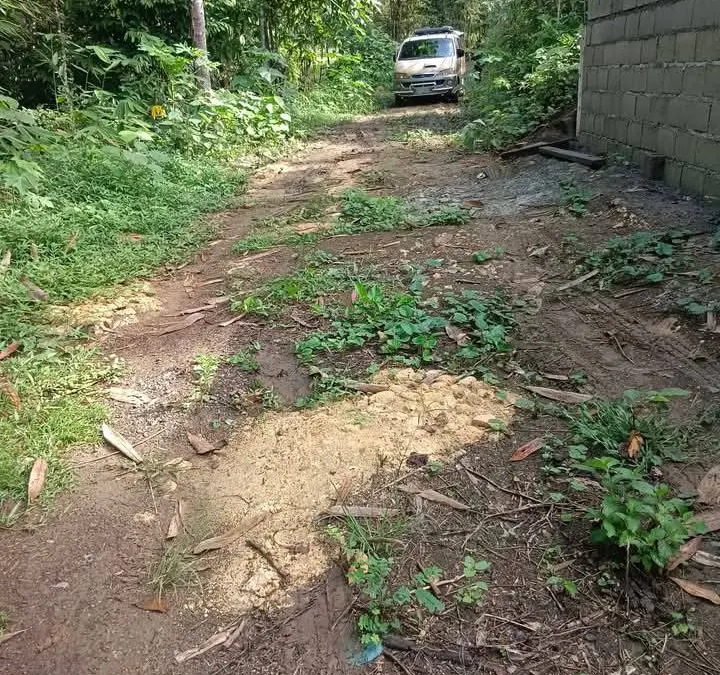 Agricultural Property Perfect for Farming in Batuan