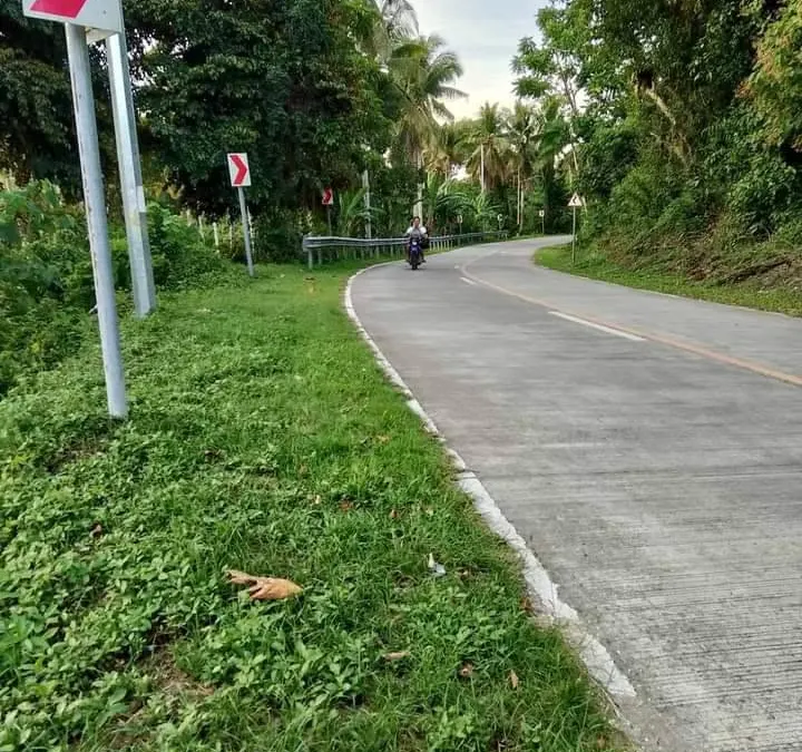 Prime Investment Lot Along the Road