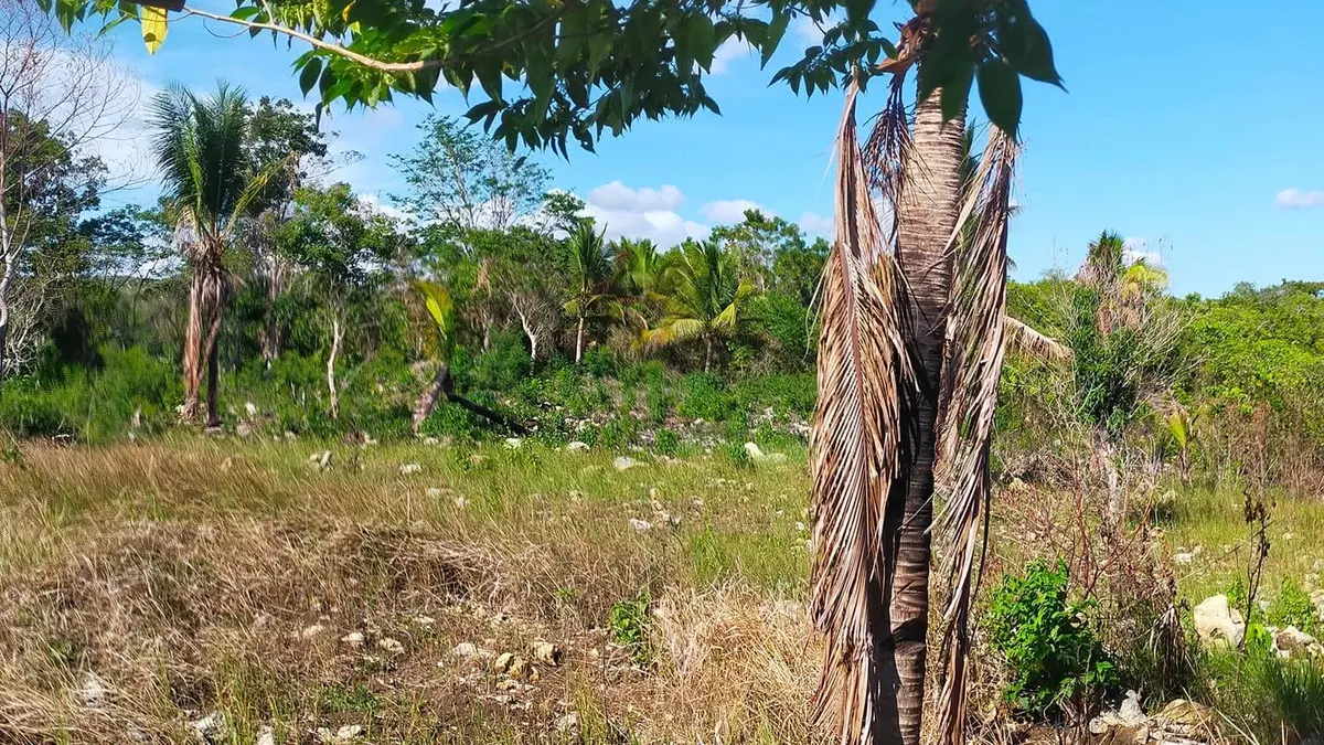 Scenic Overlooking Property in Badiang, Maasin City