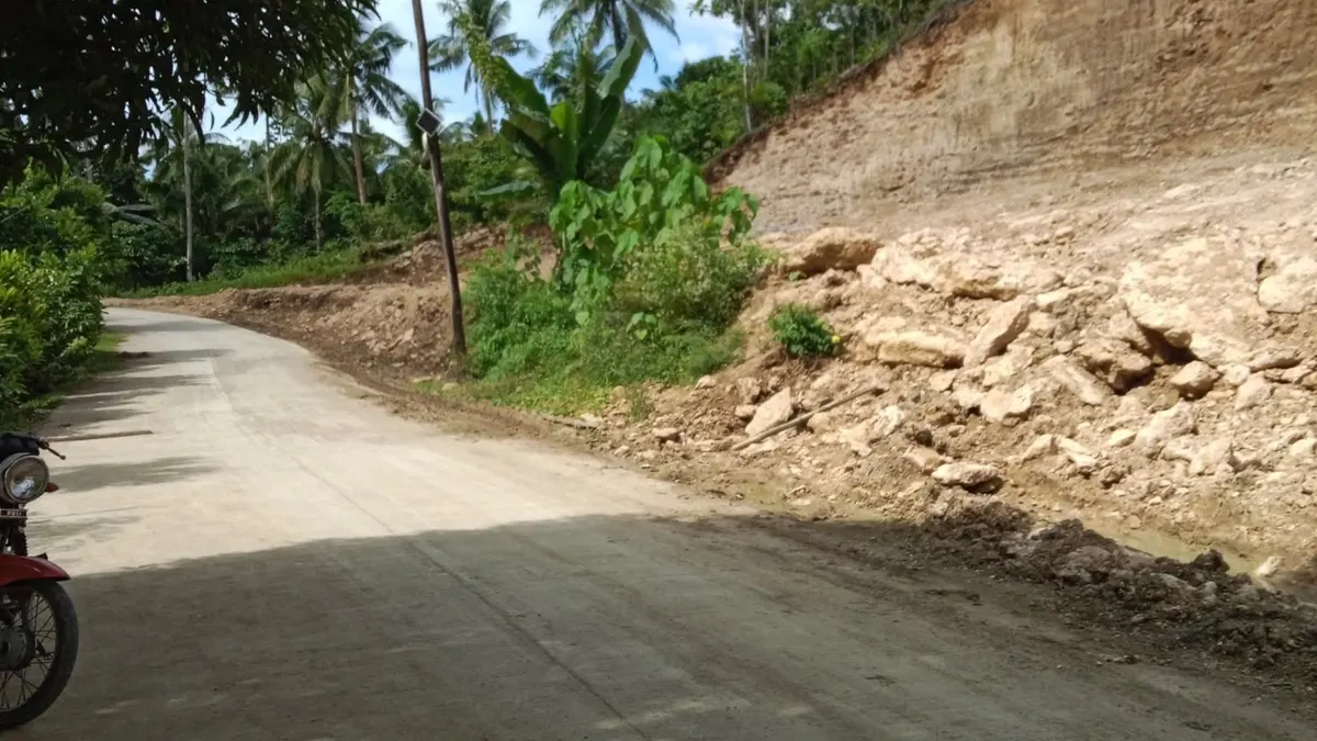 Investment Commercial Lot in Tam-is