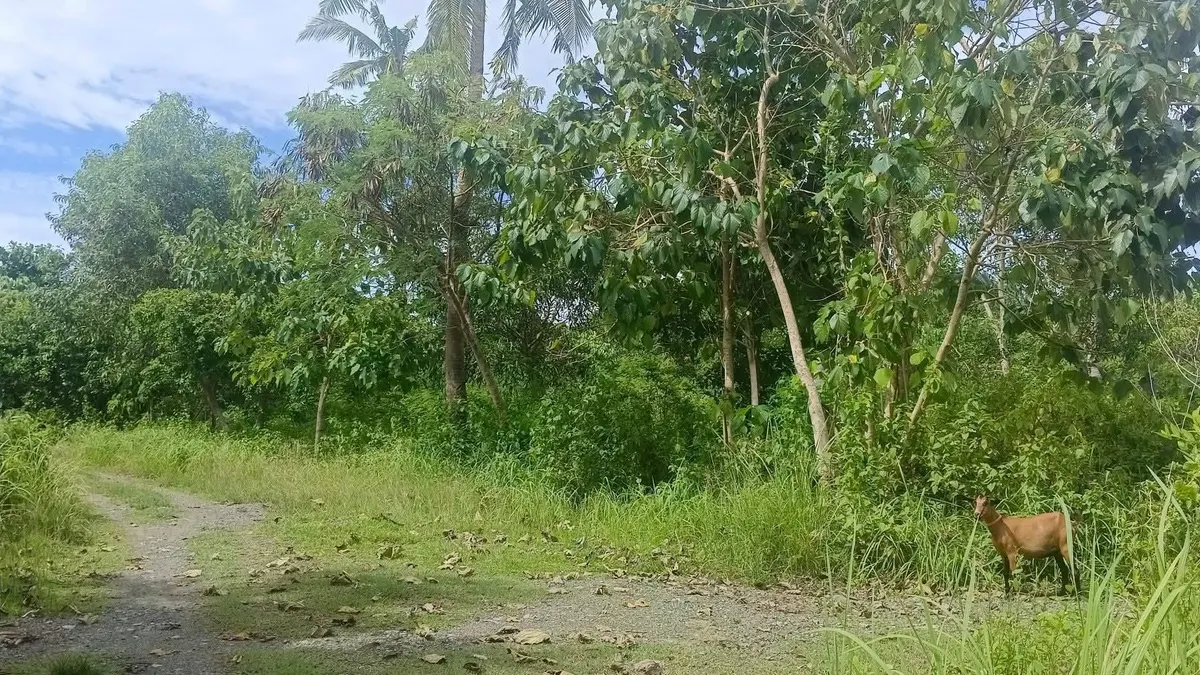 Prime Residential Property in Tangkaan