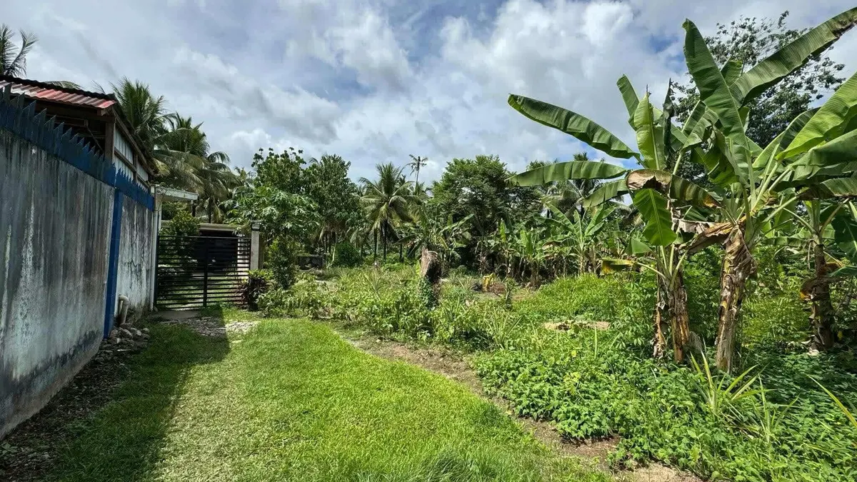 Prime Residential Lot in San Miguel, Sogod