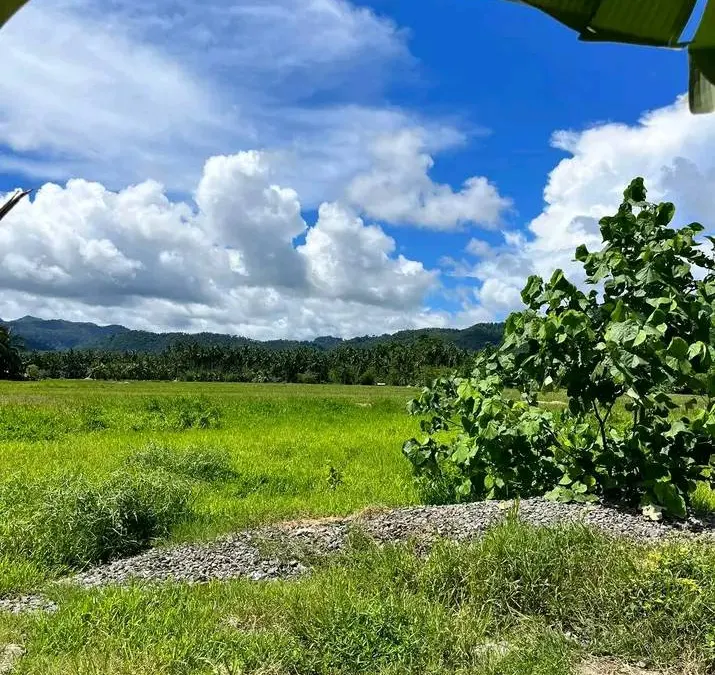 Build-Ready Residential Lot in Saint Bernard