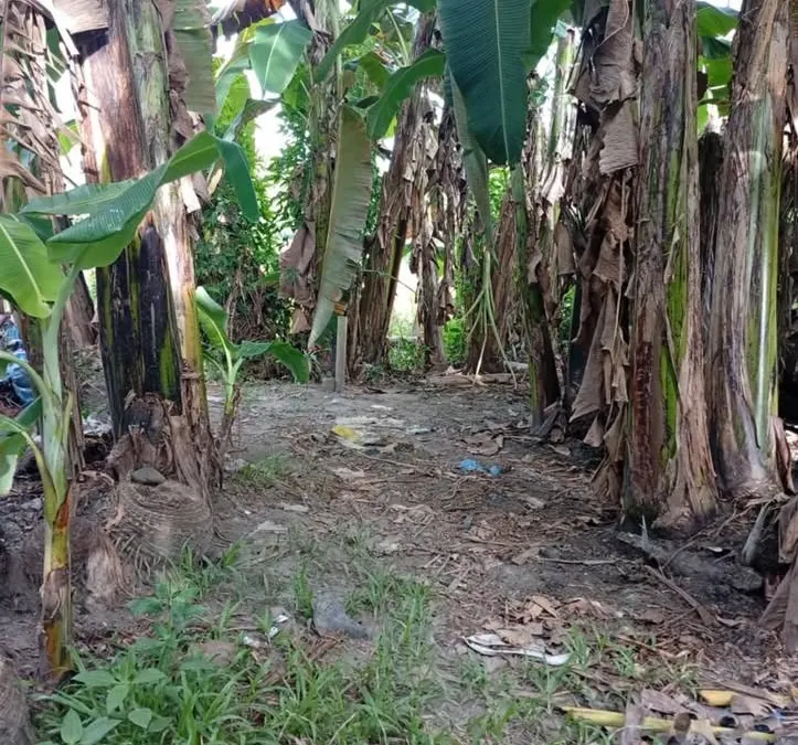Investment Lot in San Jose, Malitbog