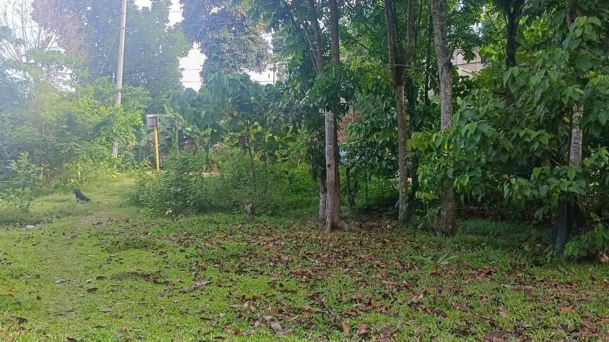 Prime Commercial Property in Manhilo