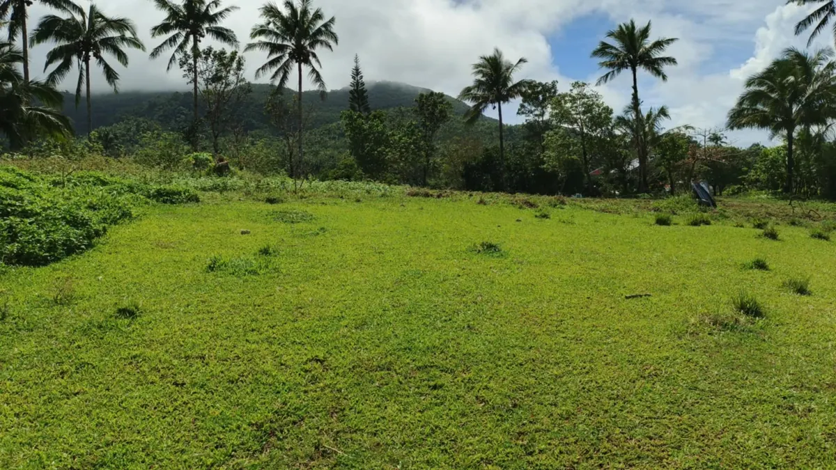 Countryside Lot in Pintuyan