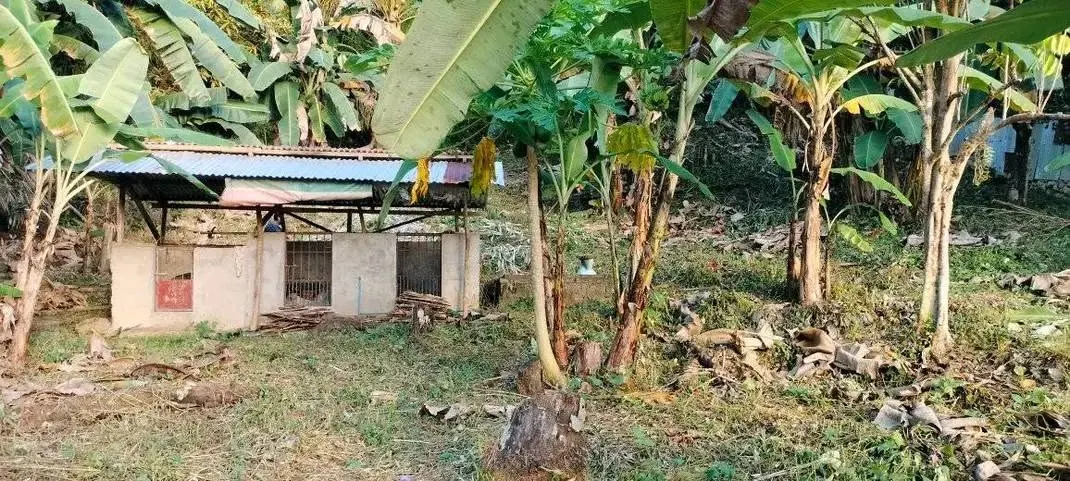 Ideal Investment Lot for Sale in Macrohon