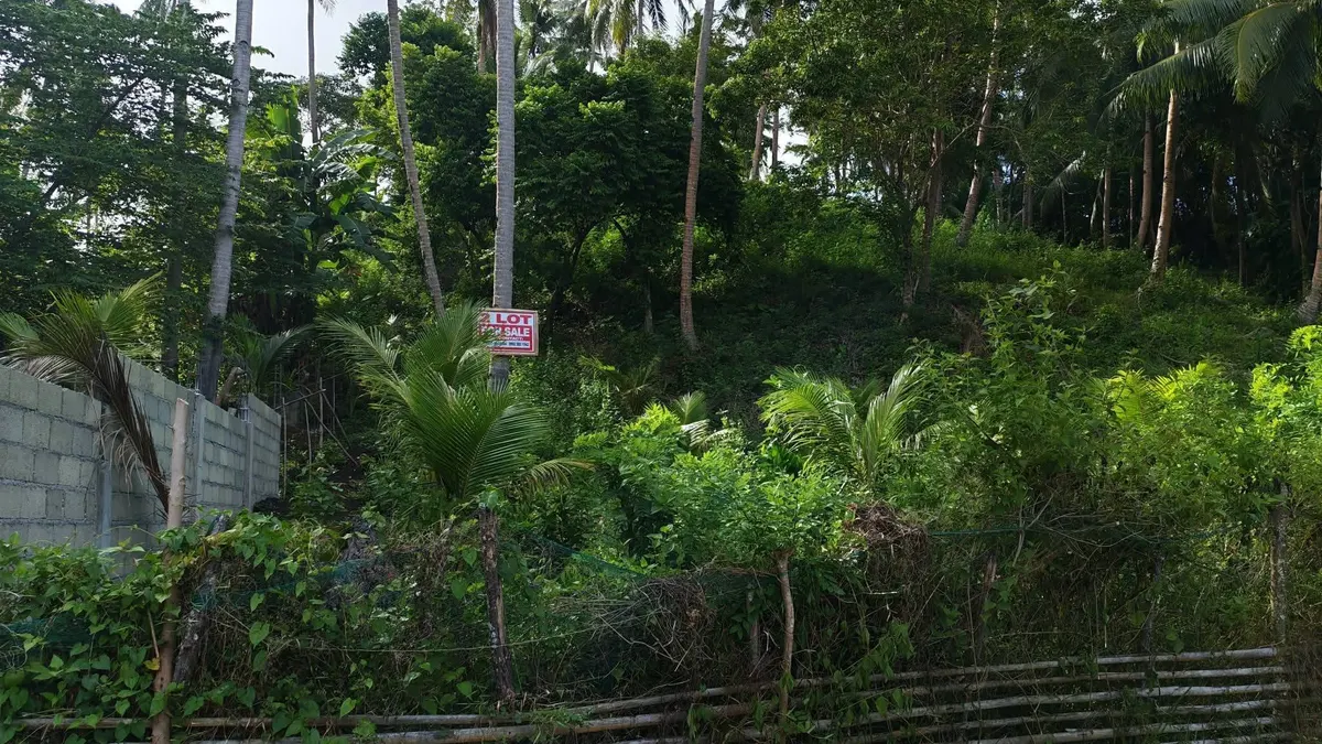 Highway-Front Lot in Buenavista, Padre Burgos