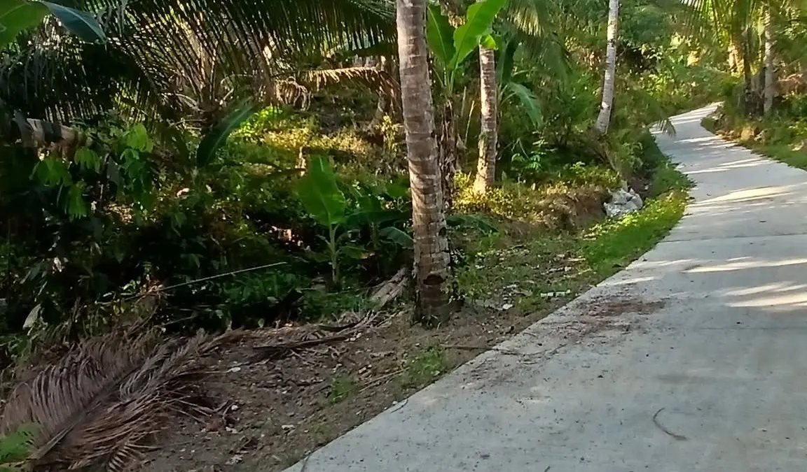 Prime Residential Lot for Sale in Santa Cruz, Maasin City