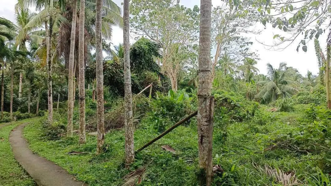 Affordable Residential Property in Libhu