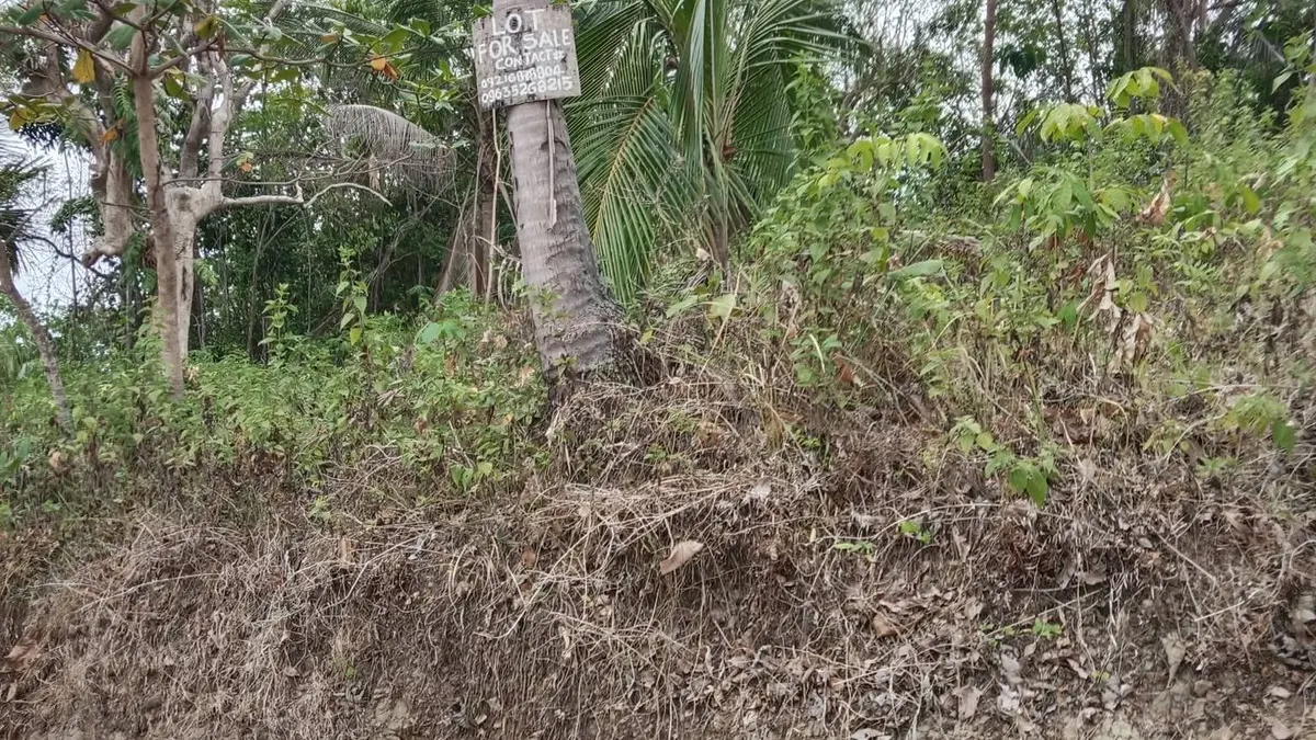 Exclusive Coastal Property in Bilibol, Maasin City