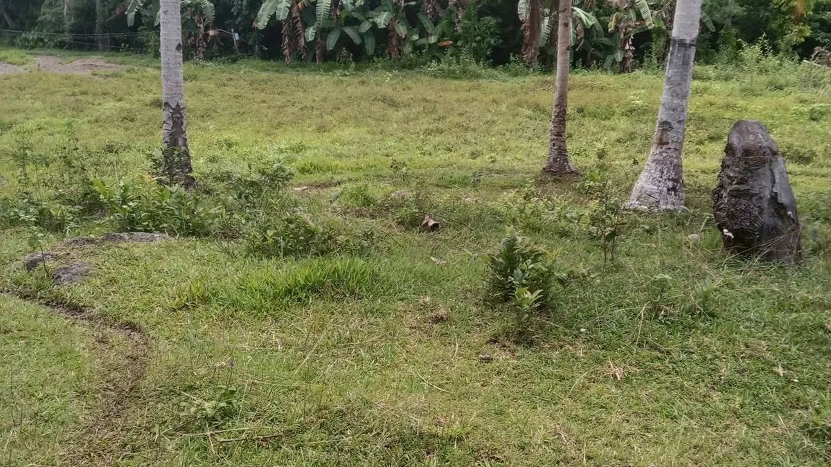 Investment Lot Along the Main Road in Maasin City