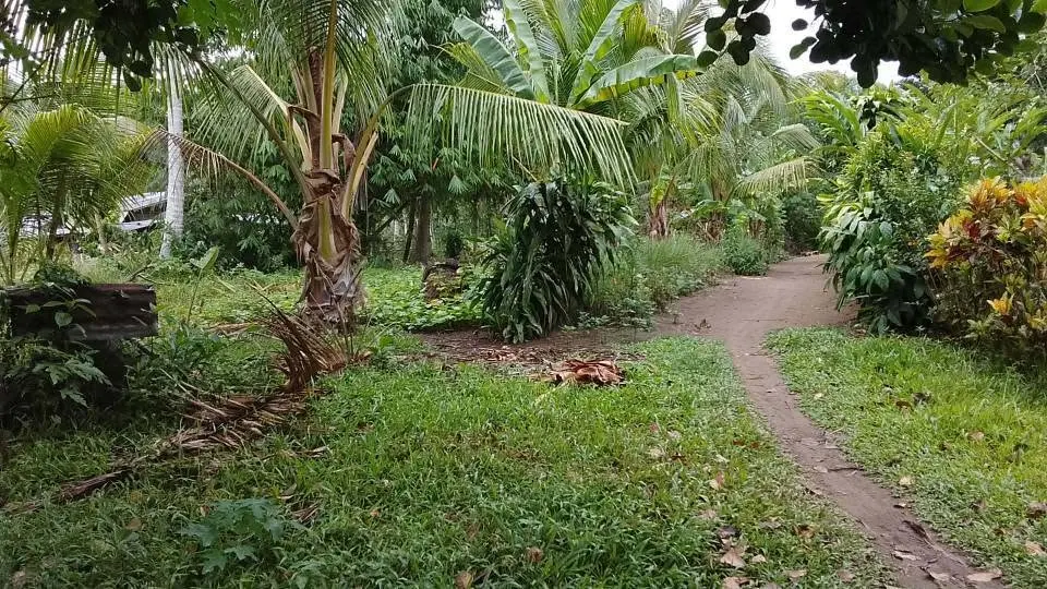 Build-Ready Residential Property in Concepcion