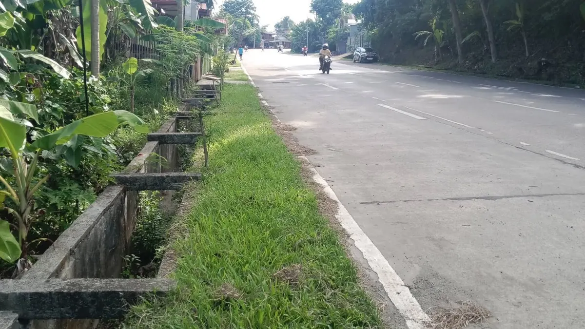 Investment Property in Mahayahay, Maasin City