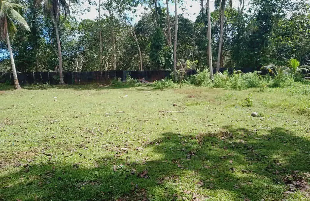 Productive Farm Lot with Great Potential in Lanao