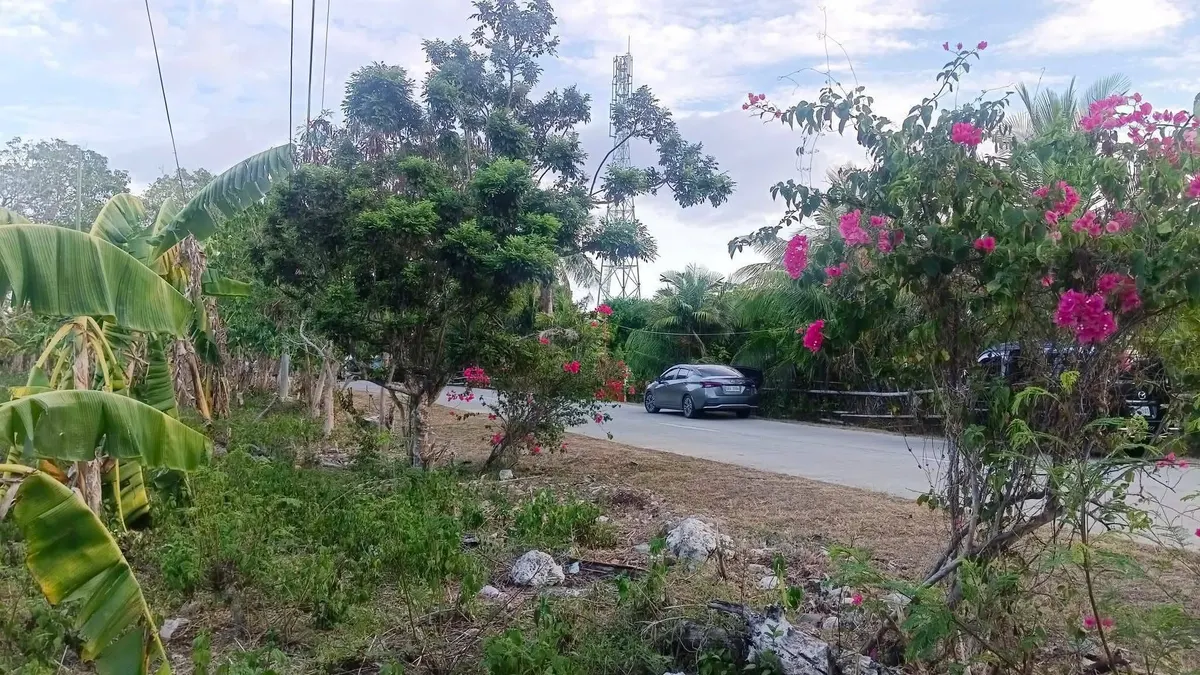 Prime Residential Lot for Sale in Padre Burgos