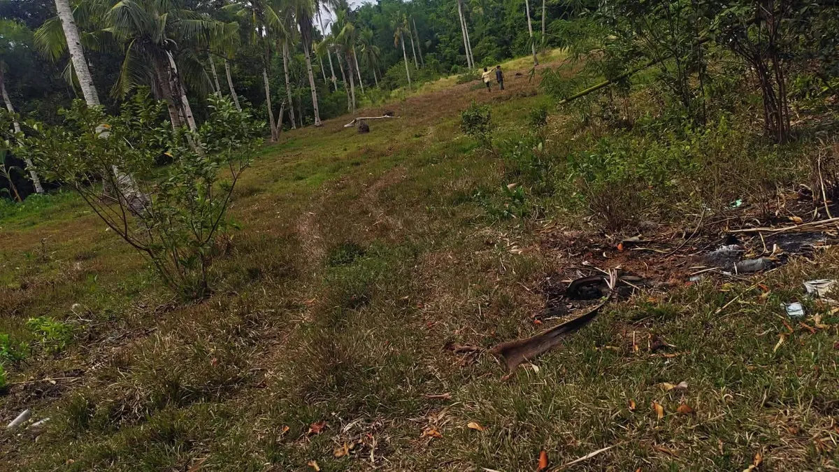 Roadside Property with Investment Potential in Manhilo