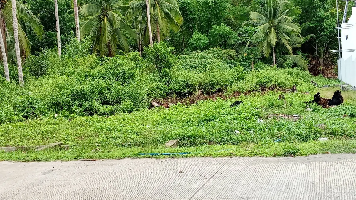 Commercial and Residential Lot Along the Road in Macrohon