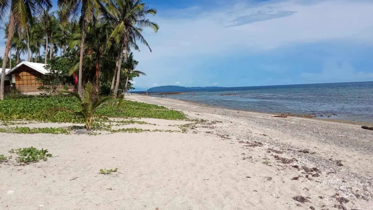 Exclusive Beach Lot with Scenic Views in Macrohon