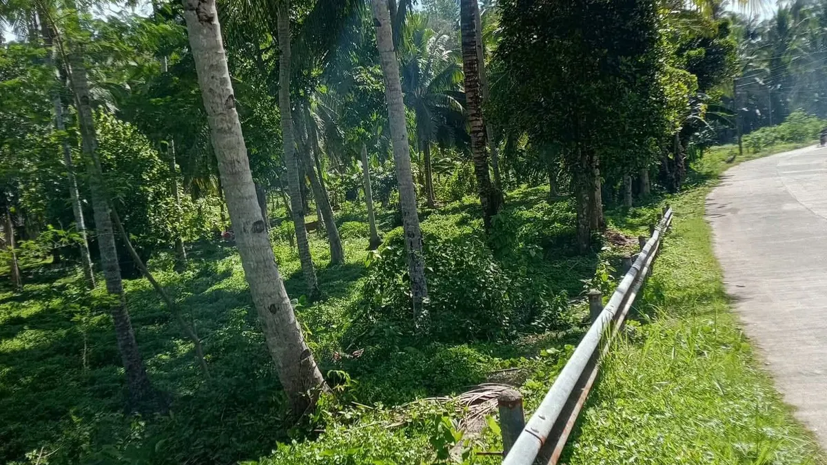 Prime Titled Farm Lot for Sale in Ichon, Macrohon