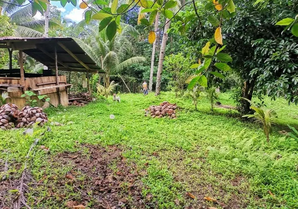 Agricultural Farm Lot for Sale in Nonok Norte, Maasin City