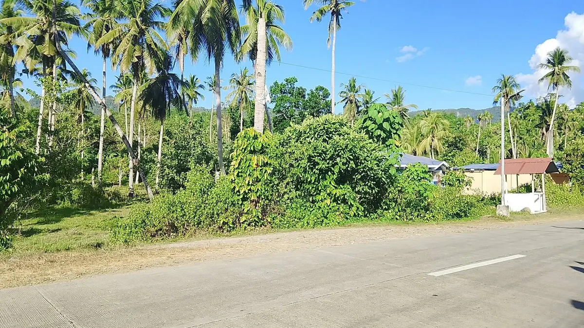 Commercial Roadside Lot for Sale in Laboon, Maasin City