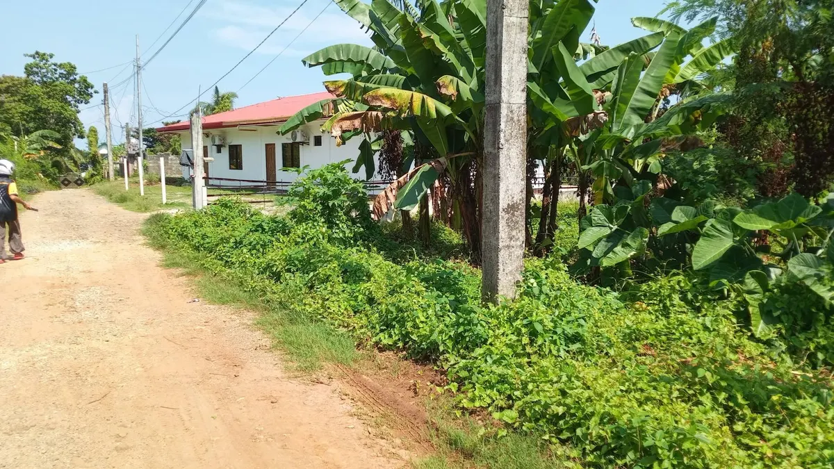 Affordable Lot in Macrohon