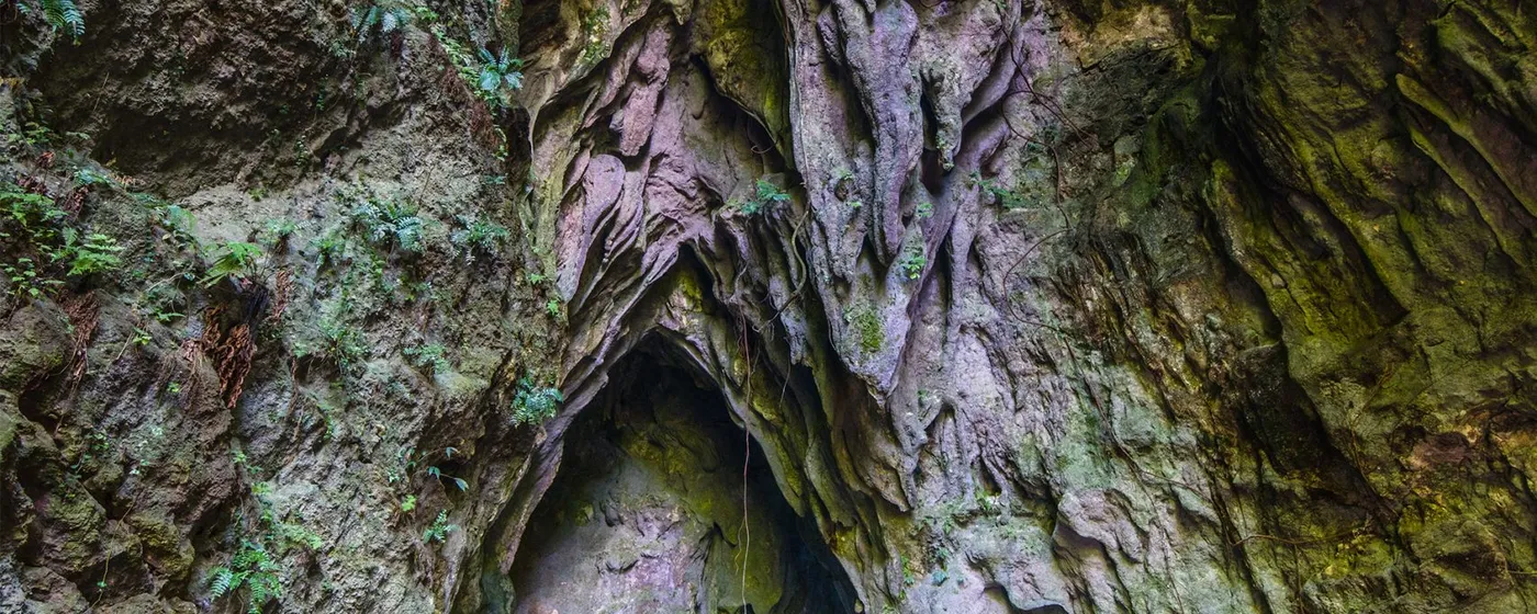 Guinsuhotan Cave & Cagnitoan Falls