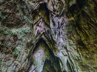 Guinsuhotan Cave & Cagnitoan Falls