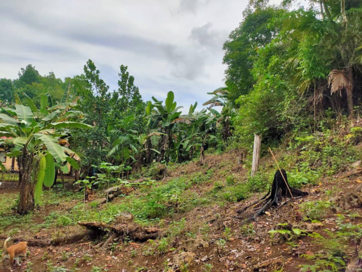 Build-Ready Residential Lot in Tam-is