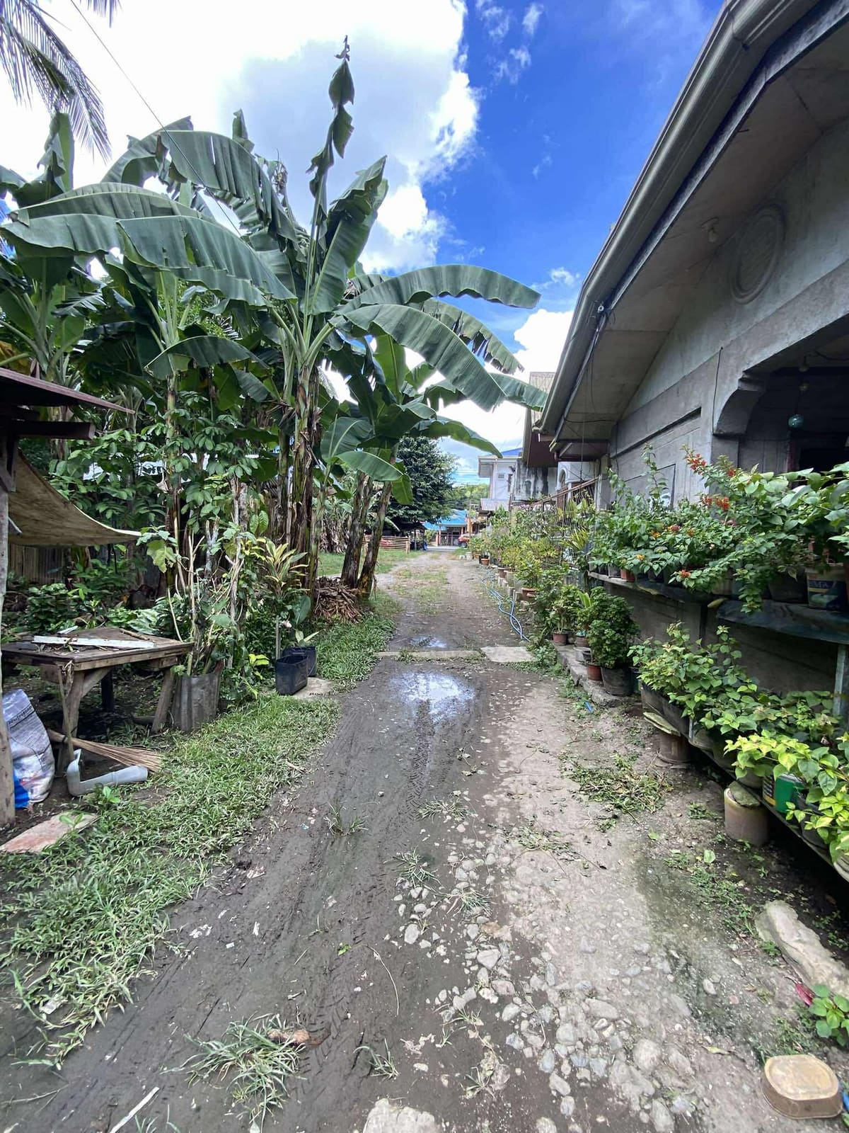 Prime Residential Lot in Soro-Soro, Maasin City