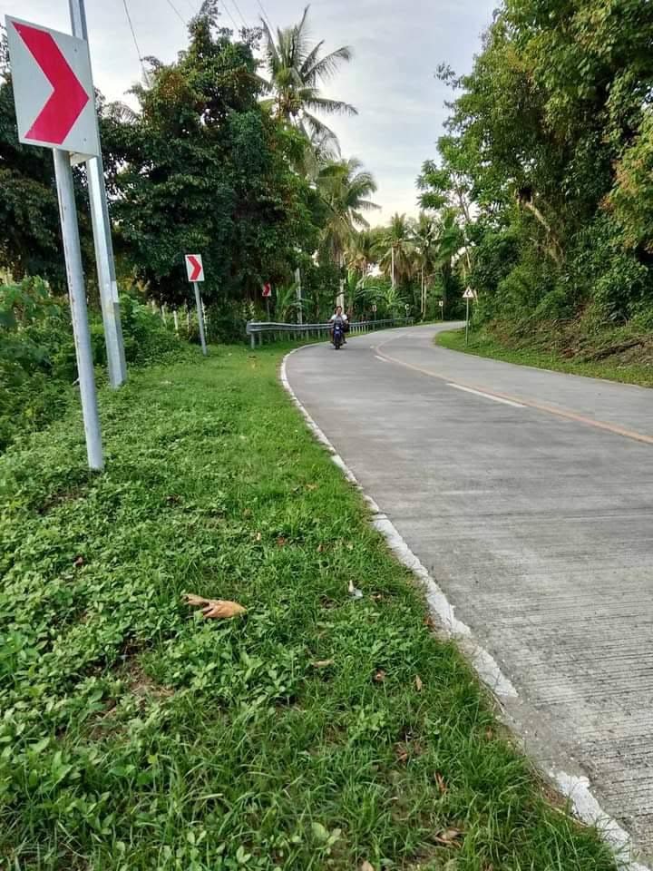 Prime Investment Lot Along the Road