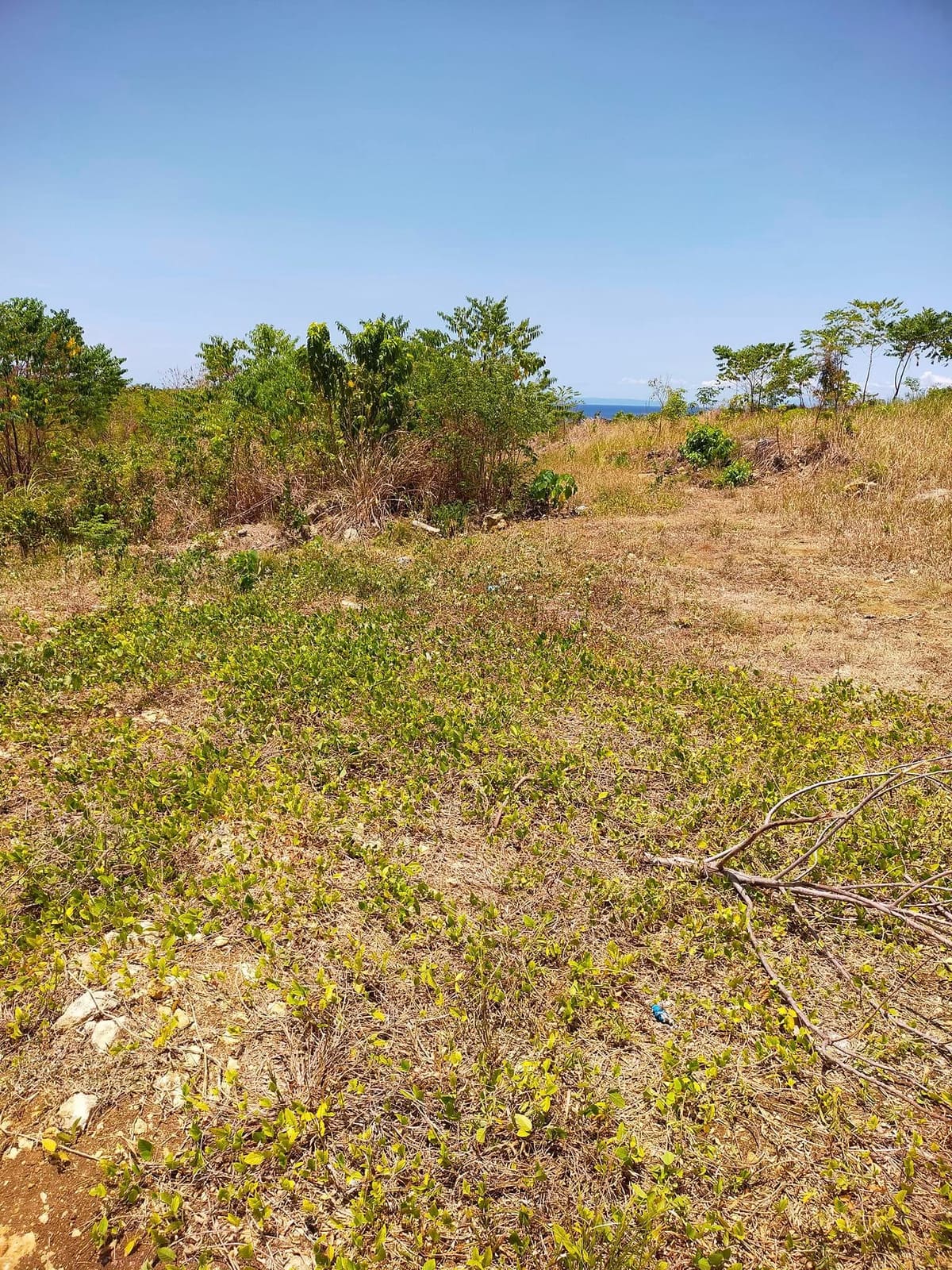Scenic Overlooking Property in Badiang, Maasin City
