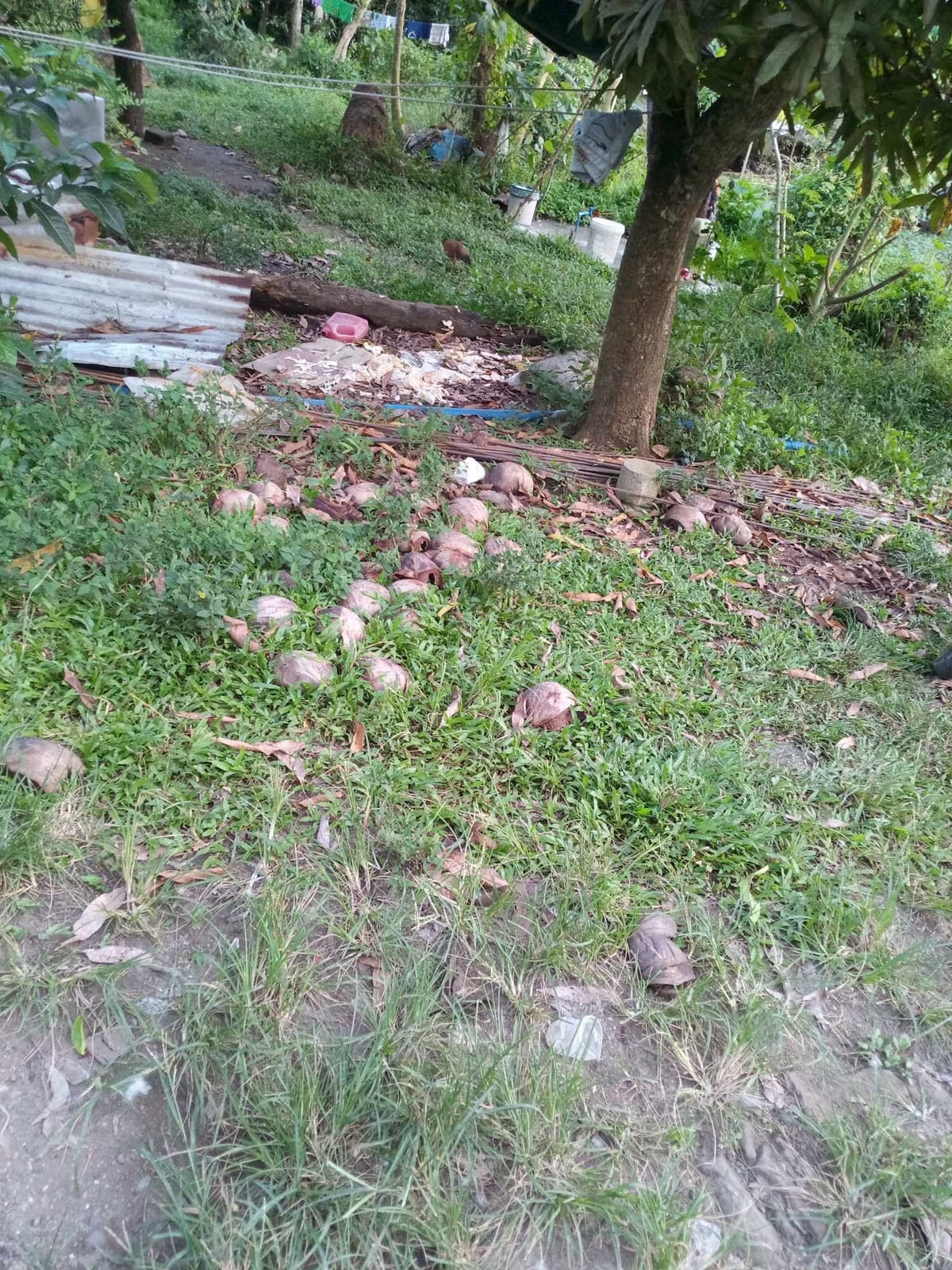 Residential lot for sale in ibarra