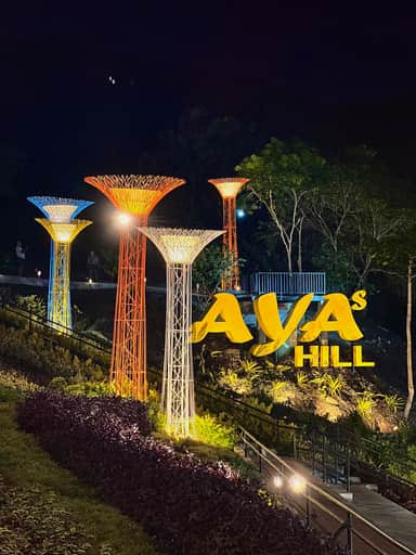 AYA’s Hill & Amusement Park