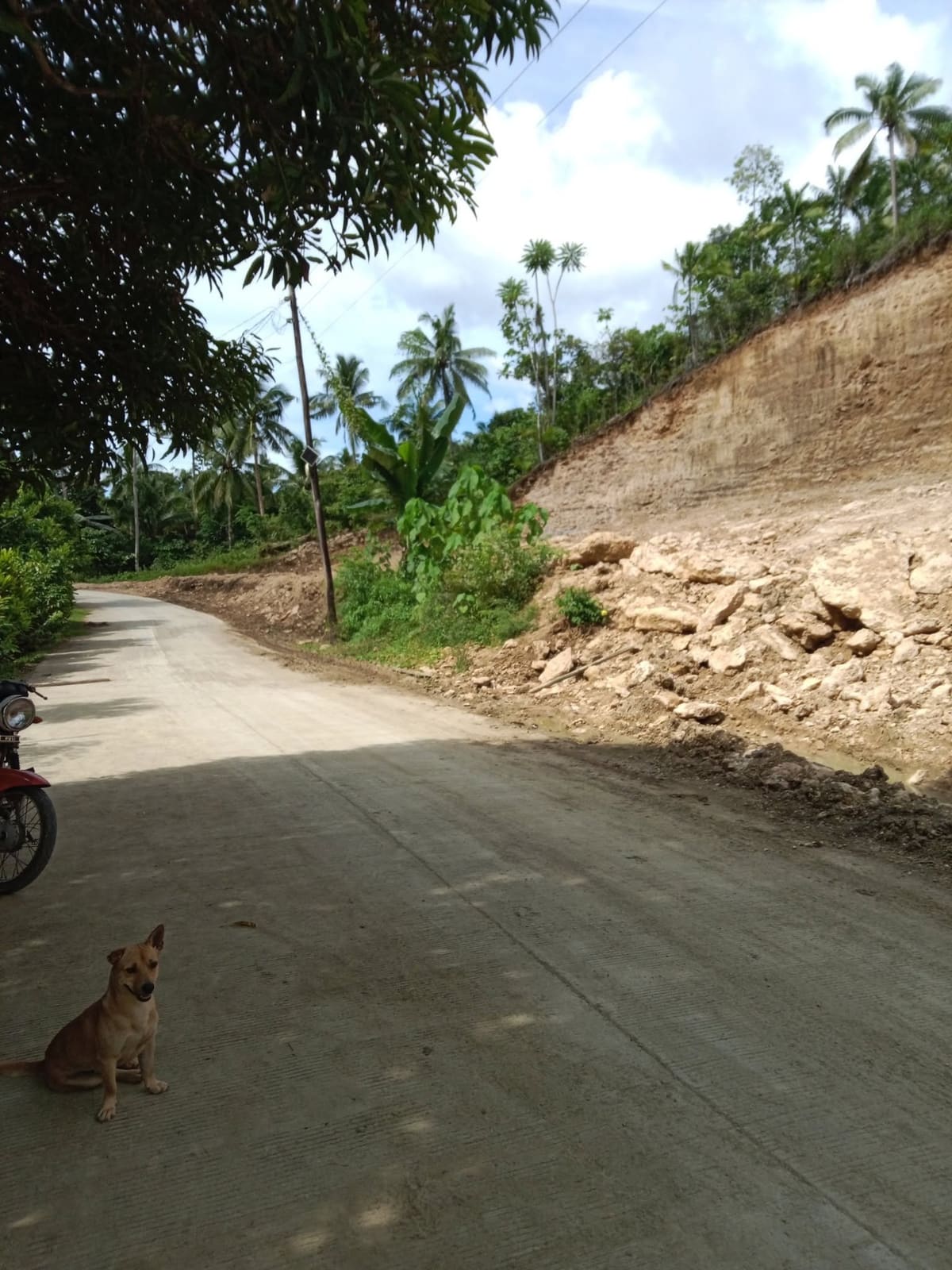 Investment Commercial Lot in Tam-is