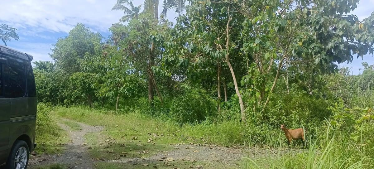 Prime Residential Property in Tangkaan
