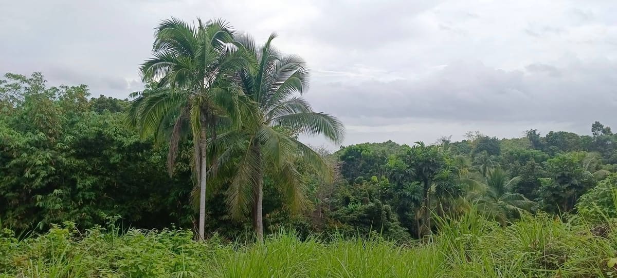 Exclusive Overlooking Residential Property in Badiang