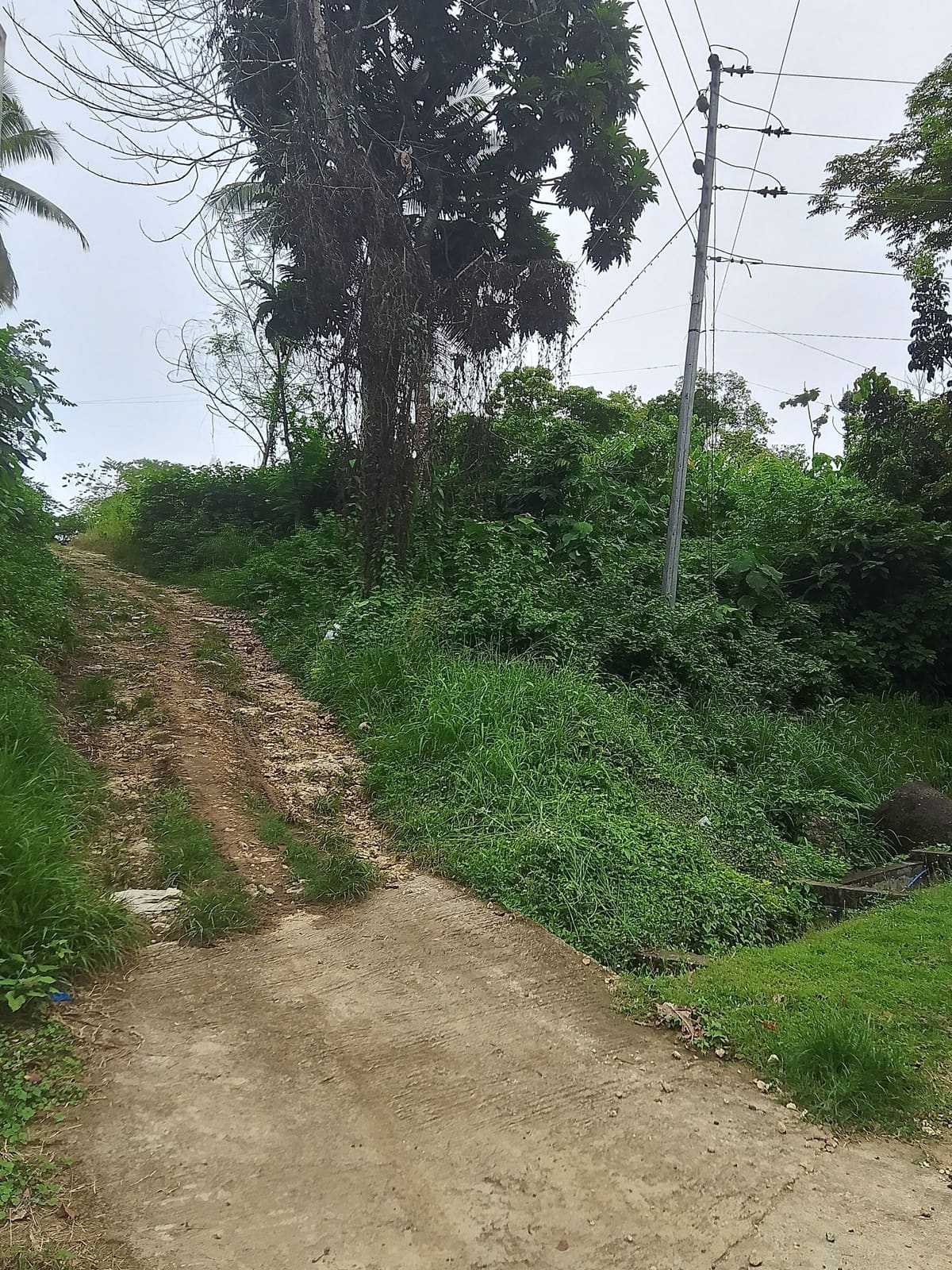 Scenic Overlooking Property Along the National Highway