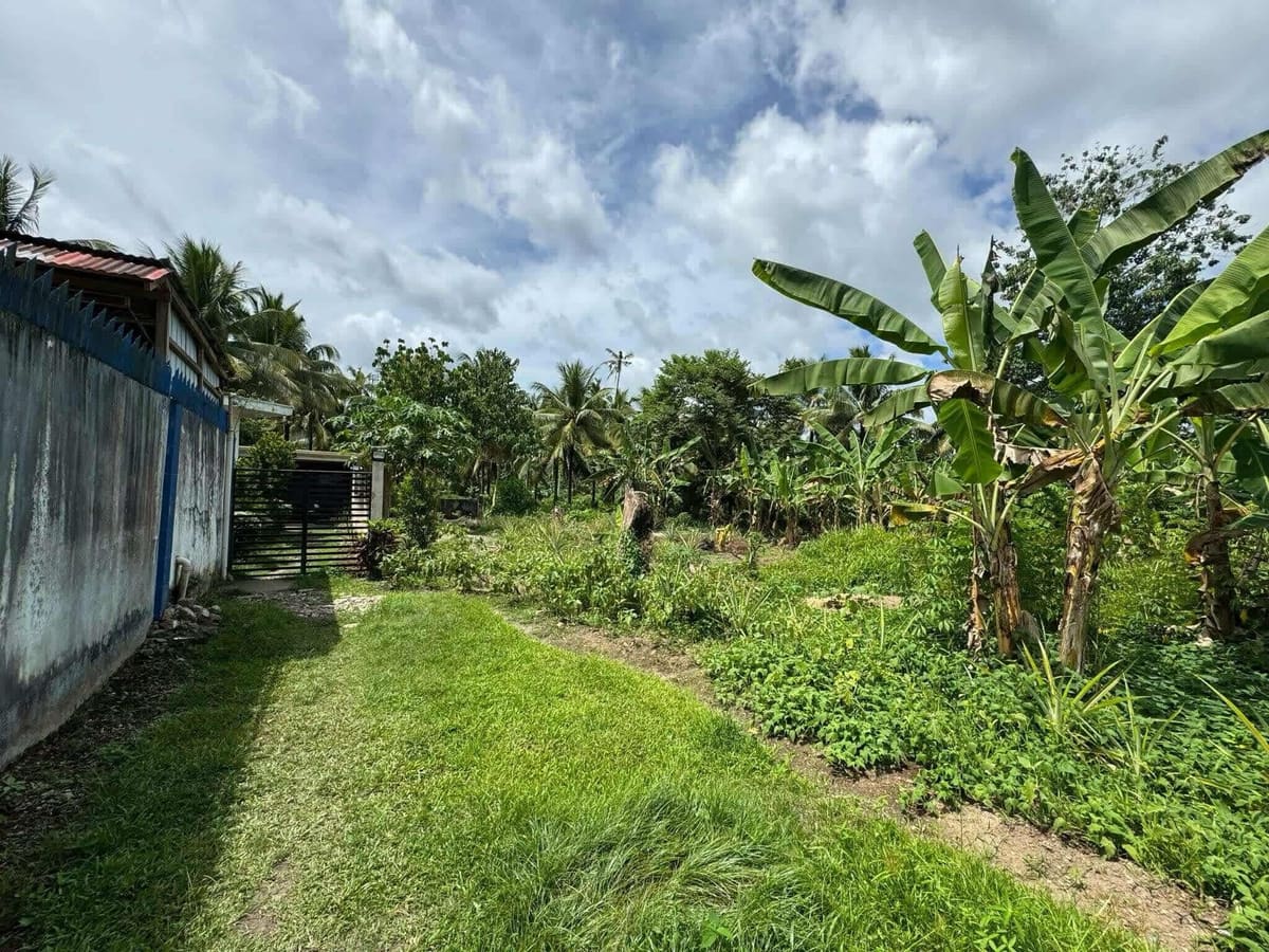 Prime Residential Lot in San Miguel, Sogod