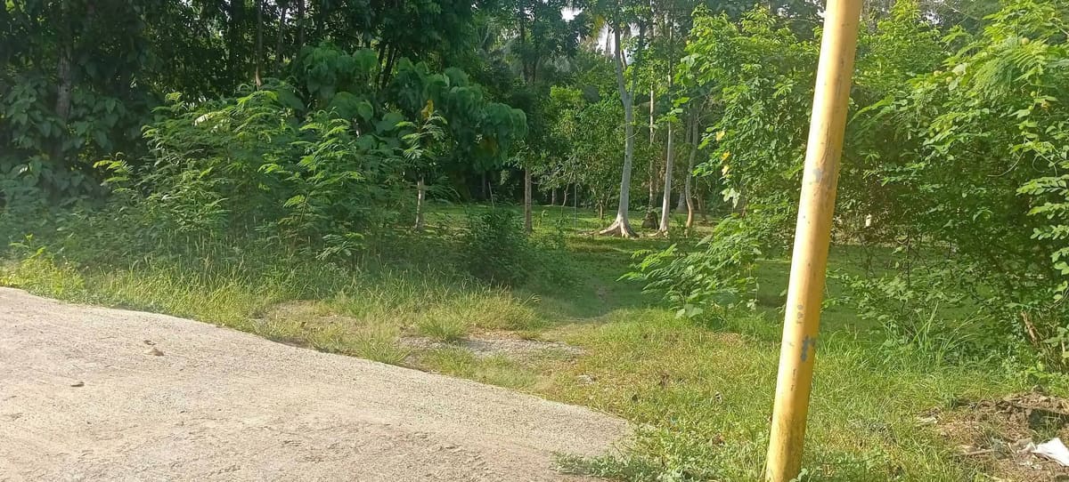 Prime Commercial Property in Manhilo