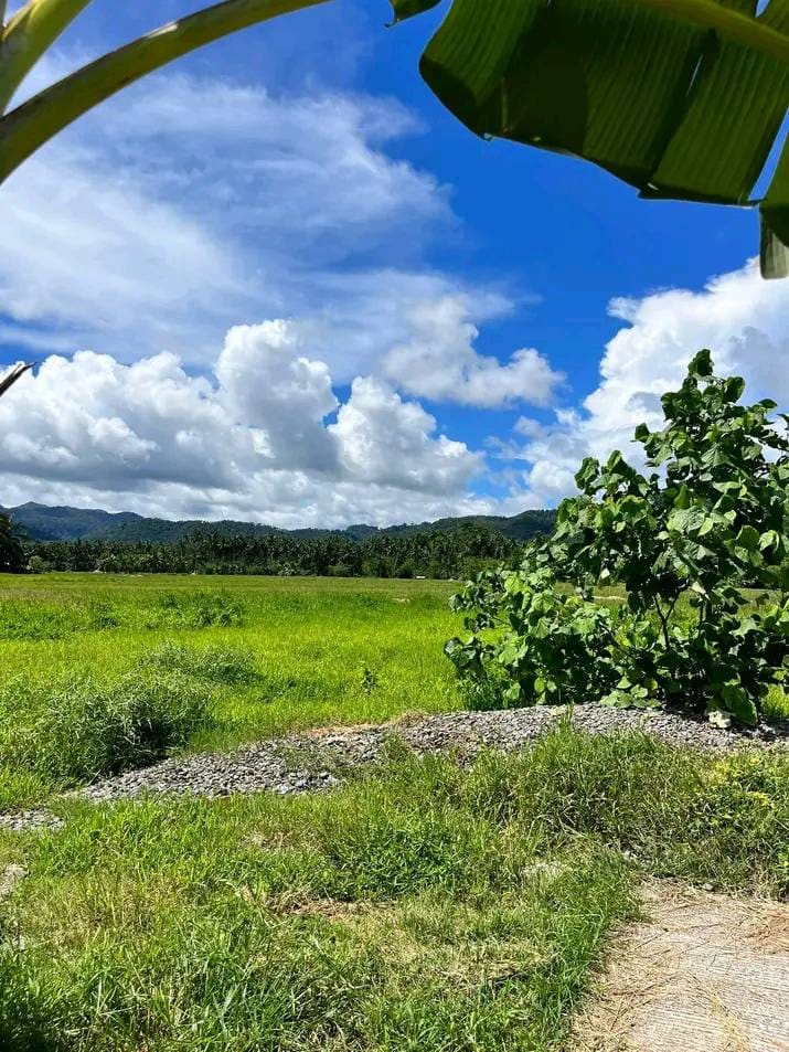 Build-Ready Residential Lot in Saint Bernard