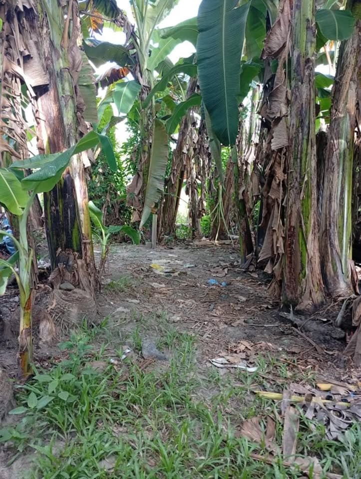 Investment Lot in San Jose, Malitbog