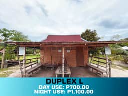 Duplex L