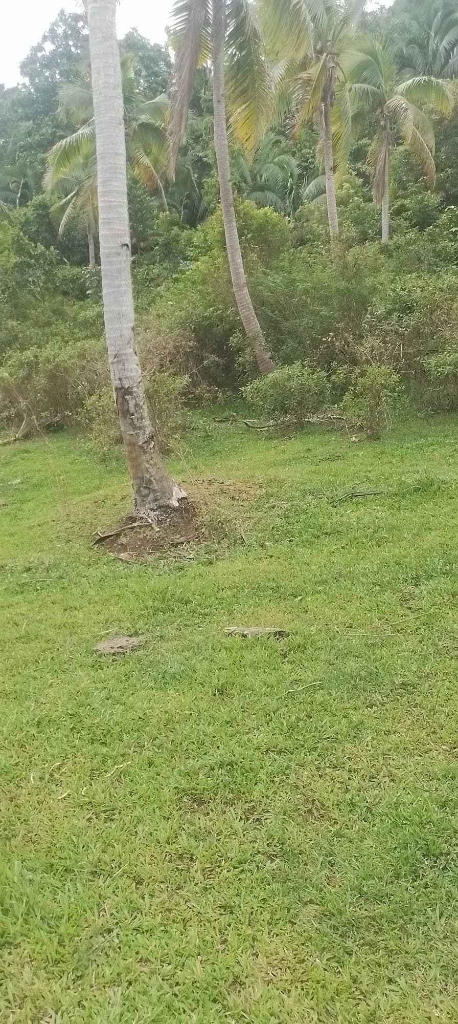 Titled Lot for Sale in Bactul I, Maasin City