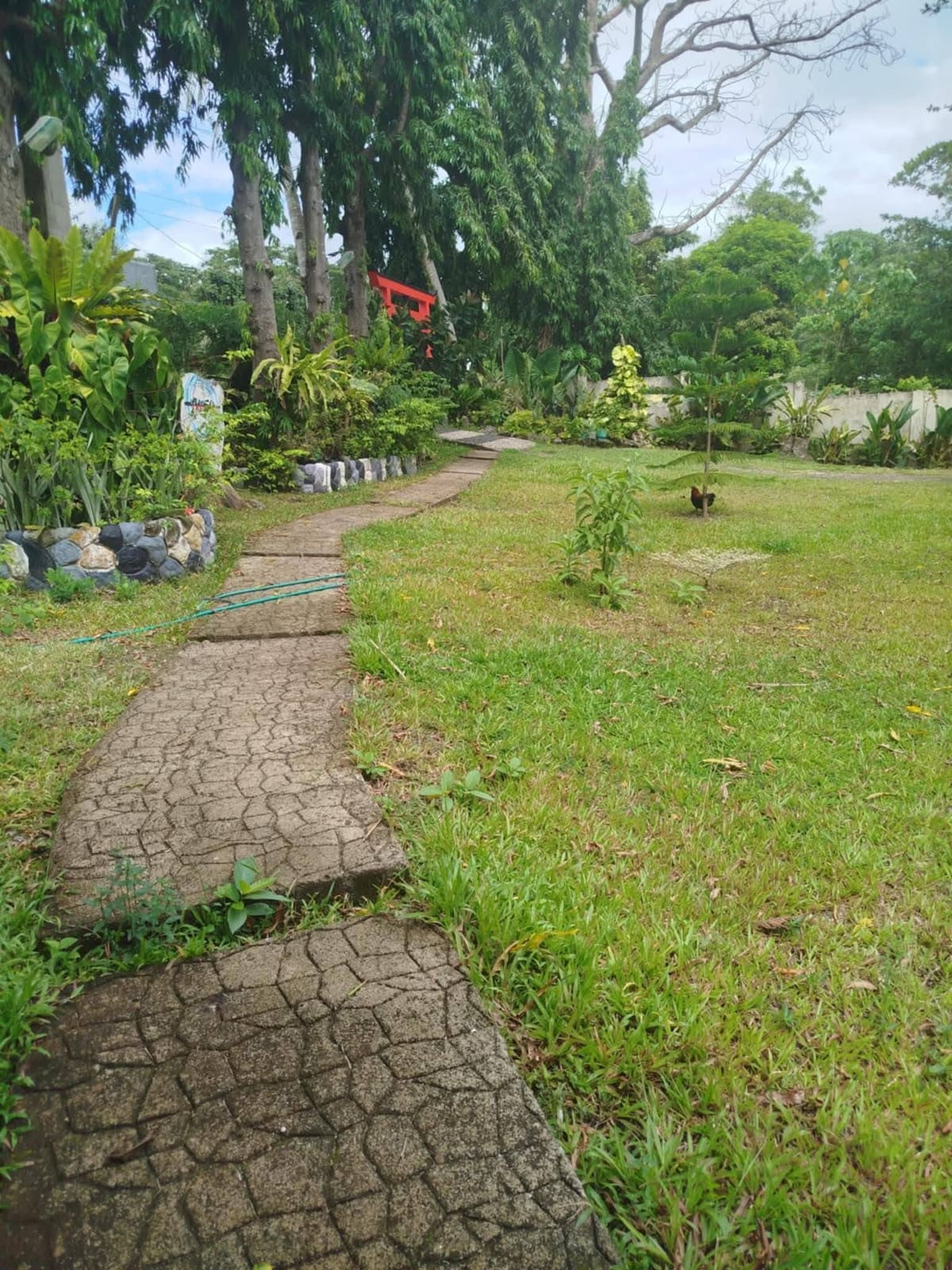 Beach lot for sale in tomas oppus