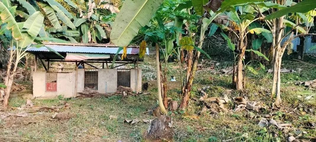 Ideal Investment Lot for Sale in Macrohon